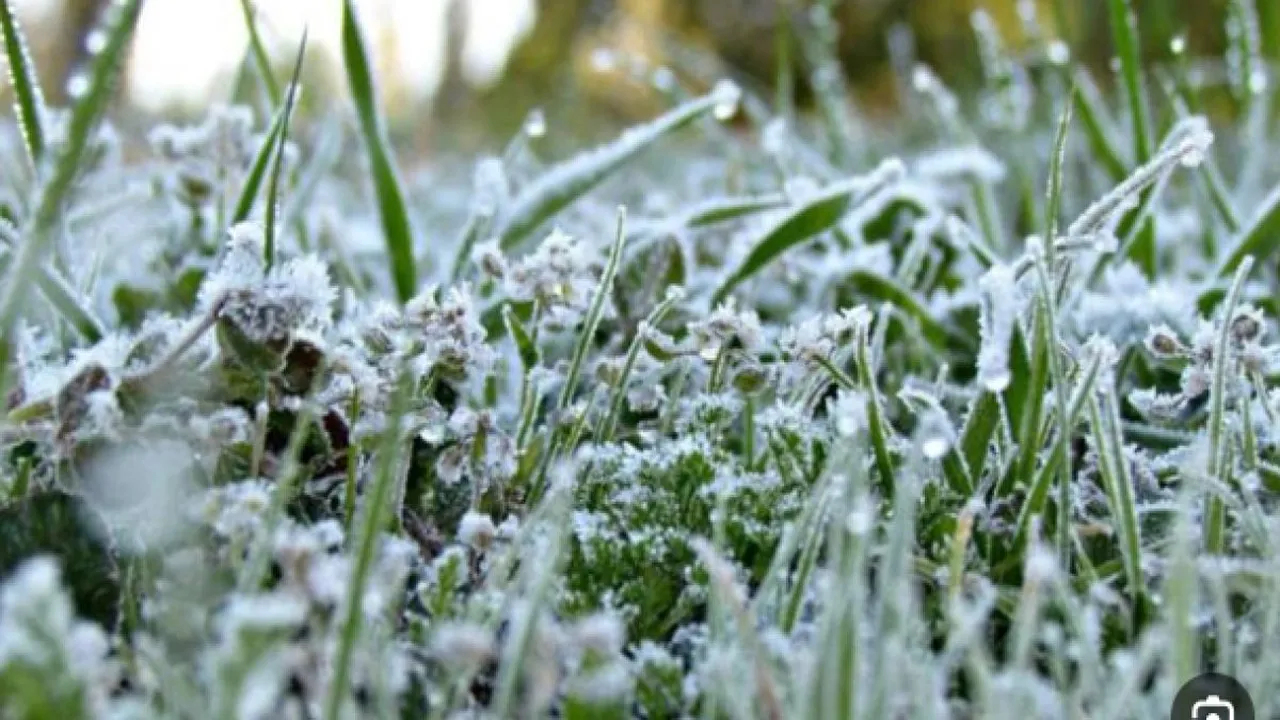 تحذير من تشكل الصقيع وسط توقعات بسيطرة الأجواء الباردة لمدة أربعة أيام المقبلة